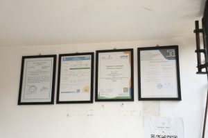 WhatsApp Image 2026-04-10 at 9.41.16 AM